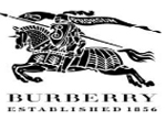 burberry одежда